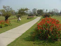 14 Marla Park Facing Kothi in Sector 10 Chandigarh   3BHK Bungalow images 